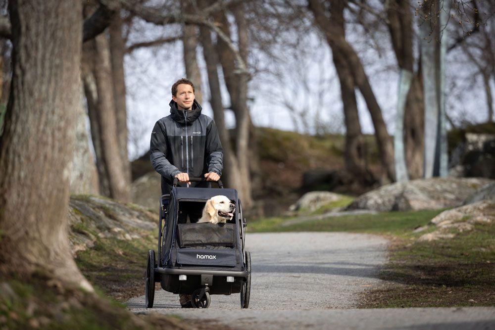 Hamax Pluto L - Hundeanhänger kaufen | Bike-Discount
