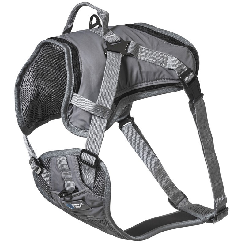 ThermoSwitch Hundegeschirre ThermoSwitch ArmoredTech Allwetter Geschirr XXL