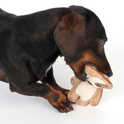 TIAKI Hundespielzeug Squeaky Sloth