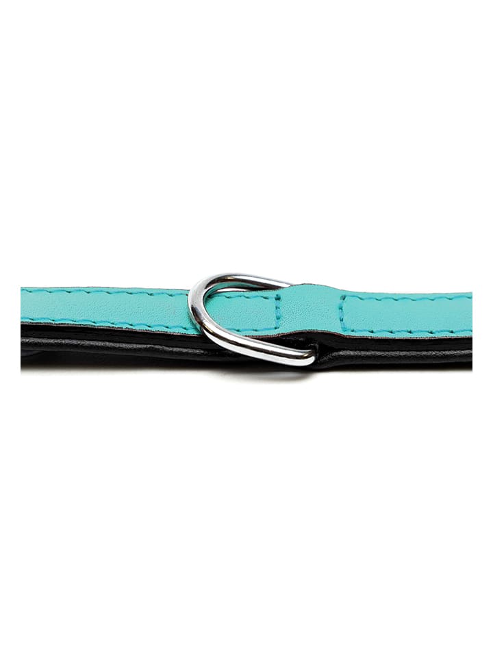 Gloria Leder-Hundehalsband 