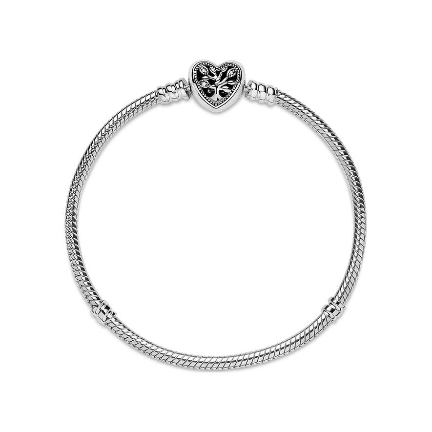 Pandora Armband Moments