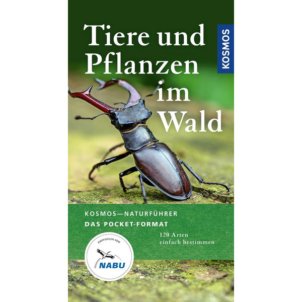 TIERE UND PFLANZEN IM WALD - Ratgeber