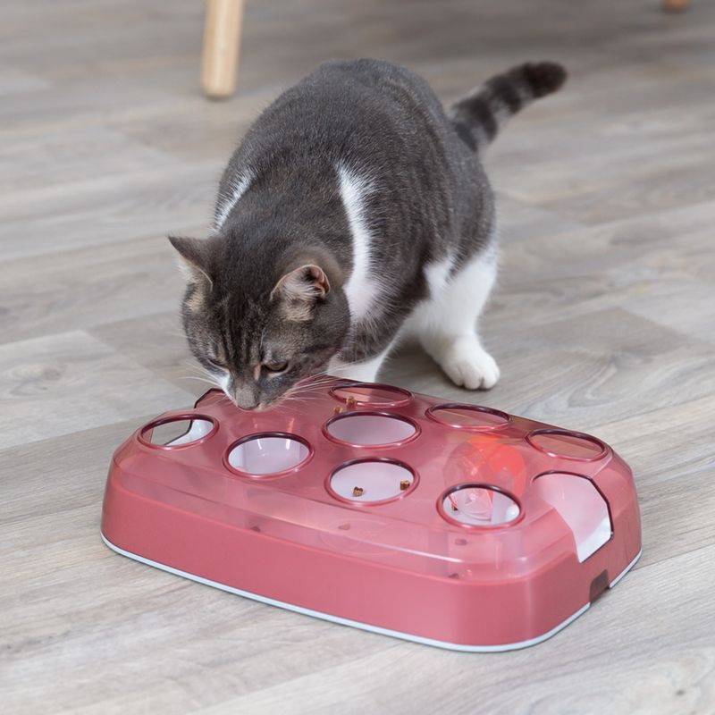 Trixie Cat Activity Soccer zu TOP-Preisen