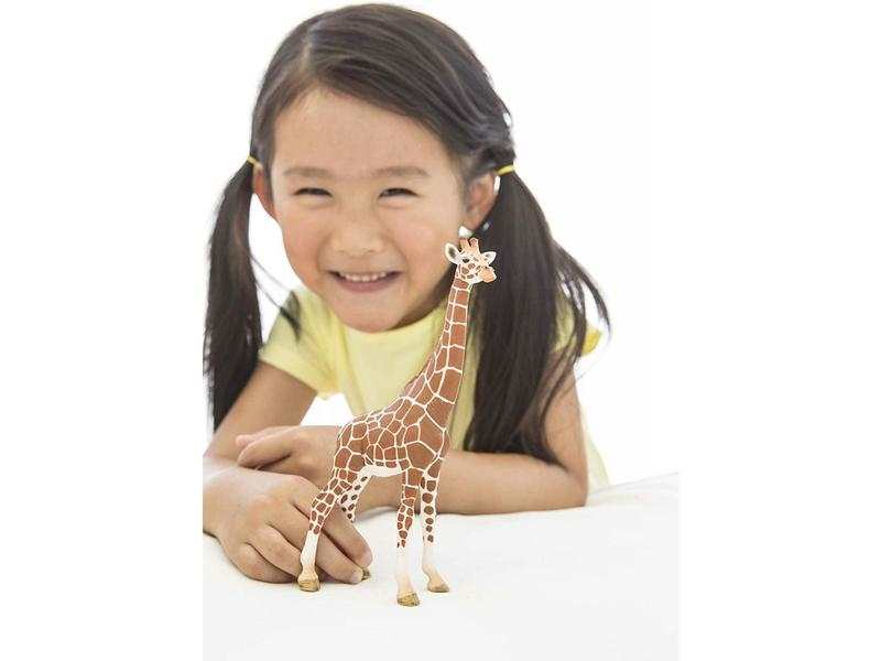 Girafe femelle