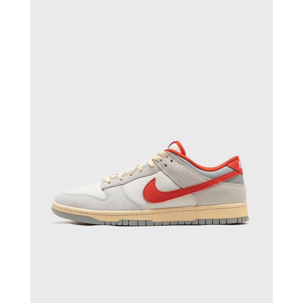 Nike Dunk Low FJ5429-133 / grau