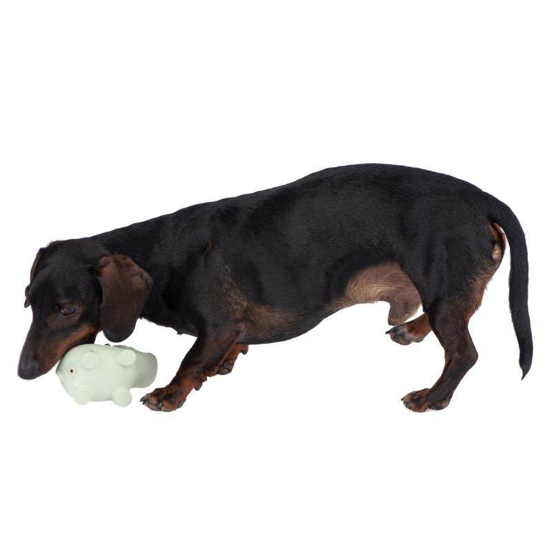 Hundespielzeug Latex Ralf zu TOP-Preisen