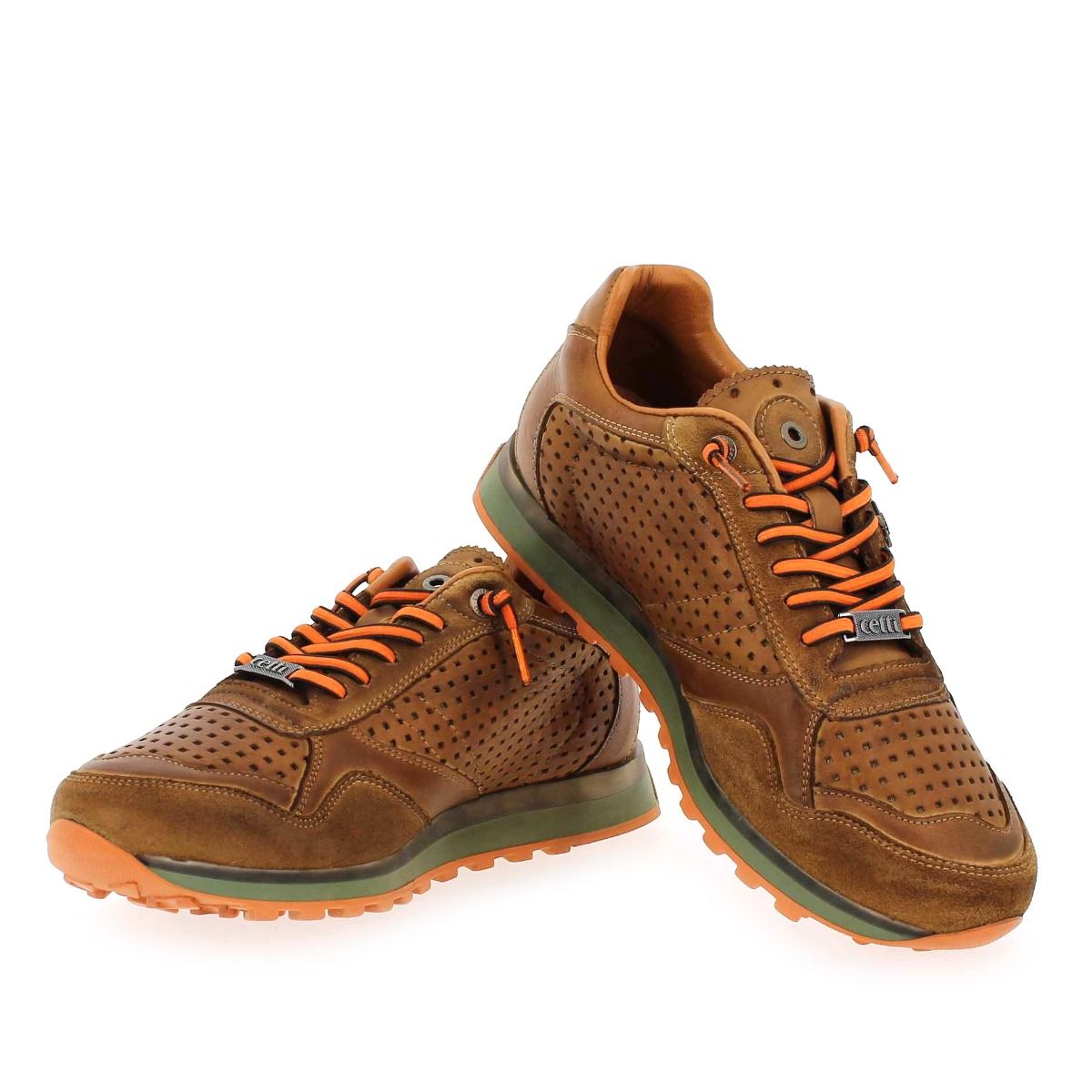 Cetti  C848 H22 - camel