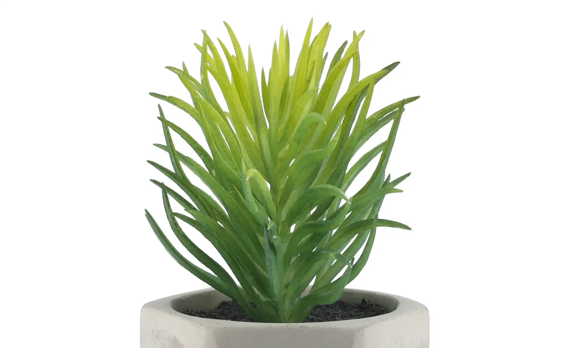 Kunstblume 