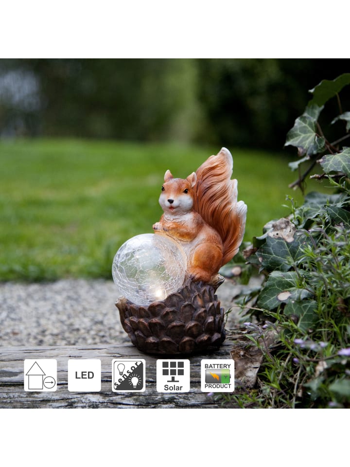 STAR Trading LED Solar-Figur Squirrel, Eichhörnchen günstig kaufen onesize