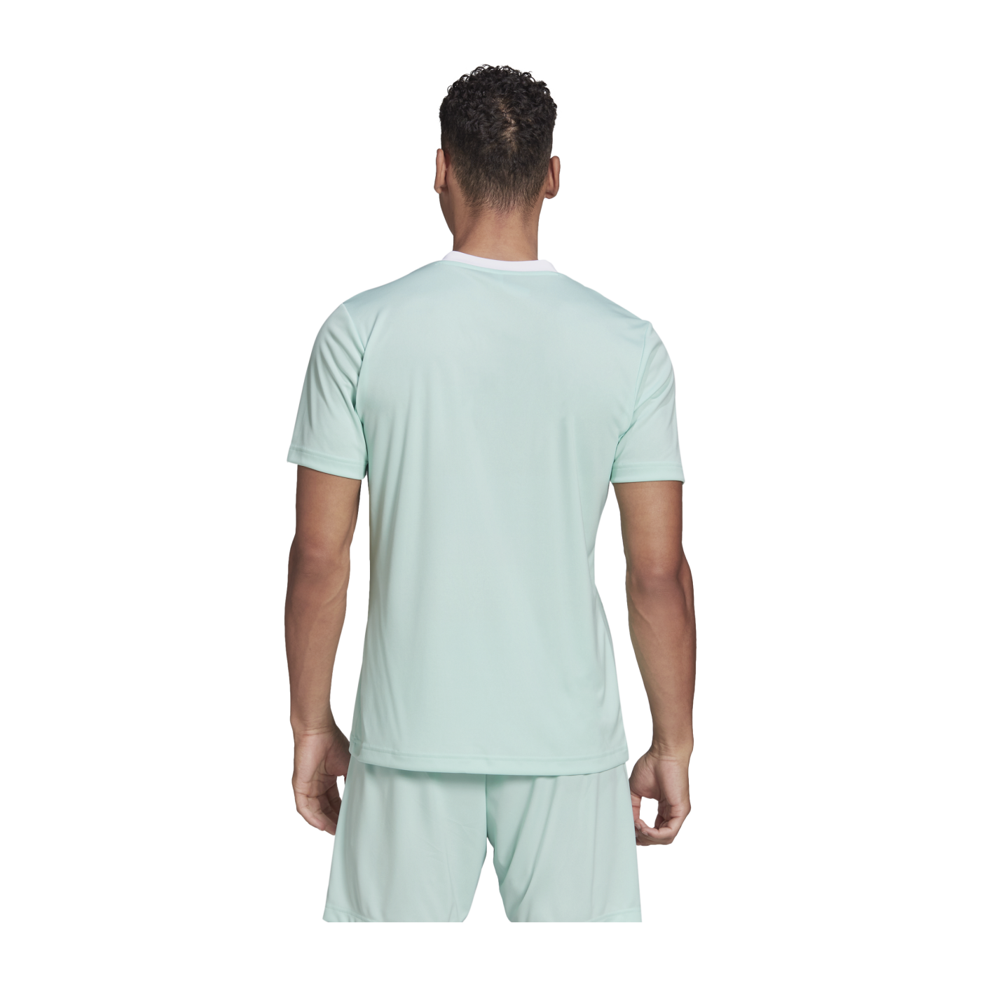 adidas Entrada 22 Trikot Türkis Weiss