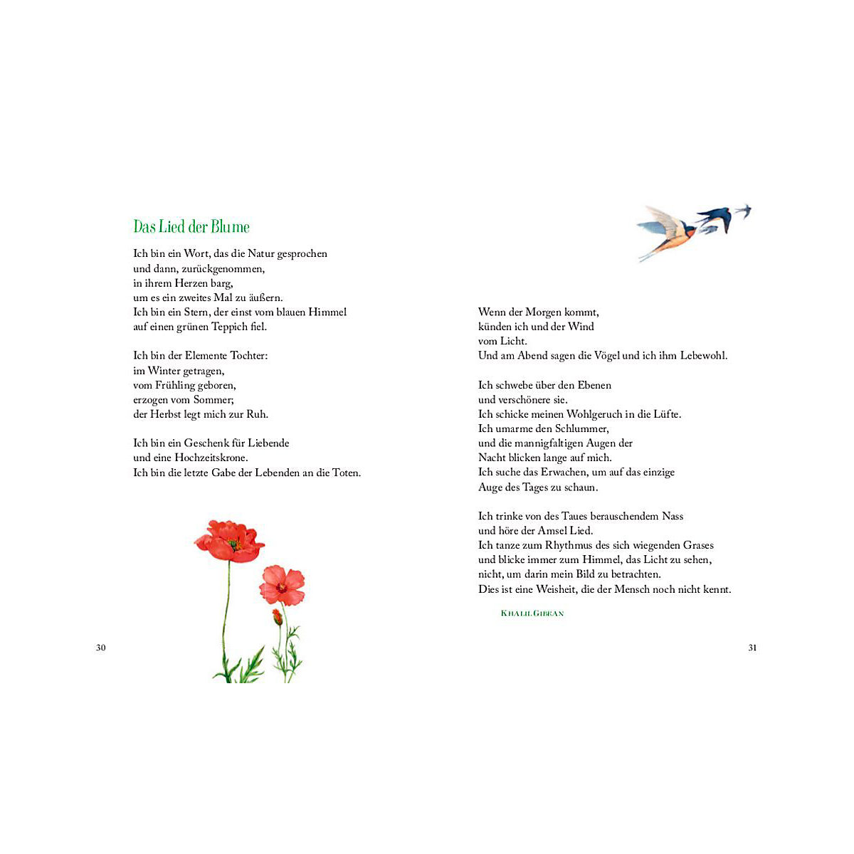 Wo Blumen blühen, da lächelt die Welt