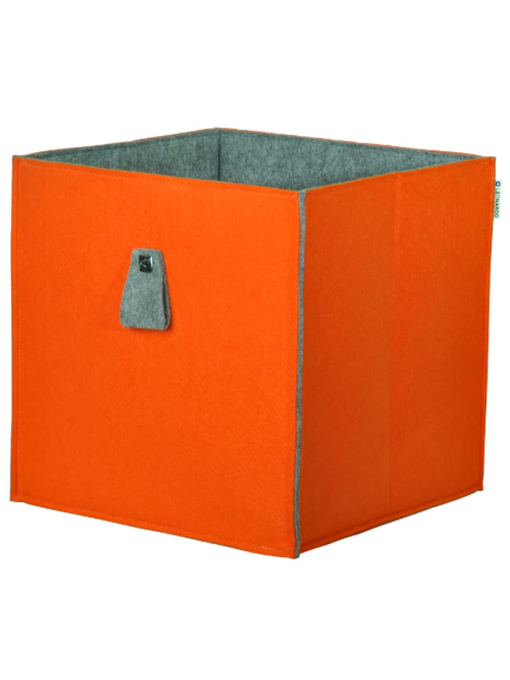 Phoenix Group AG  Aufbewahrungsbox 