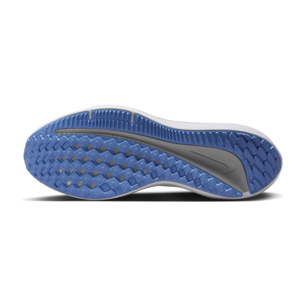 Nike Winflo 10 DV4023-007 / grau