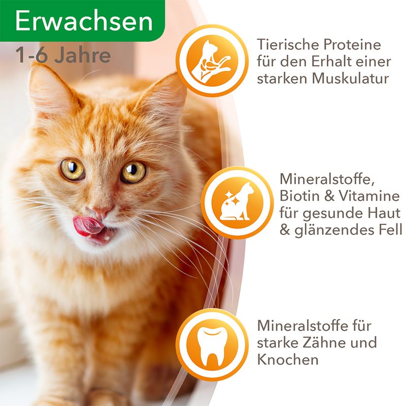 IAMS Delights Adult Land Mix in Sauce zu TOP-Preisen | bitiba %