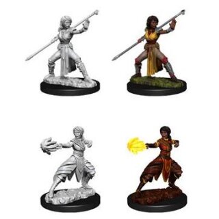 Female Half-Elf Monk: D&D Nolzurs Marvelous Miniatures