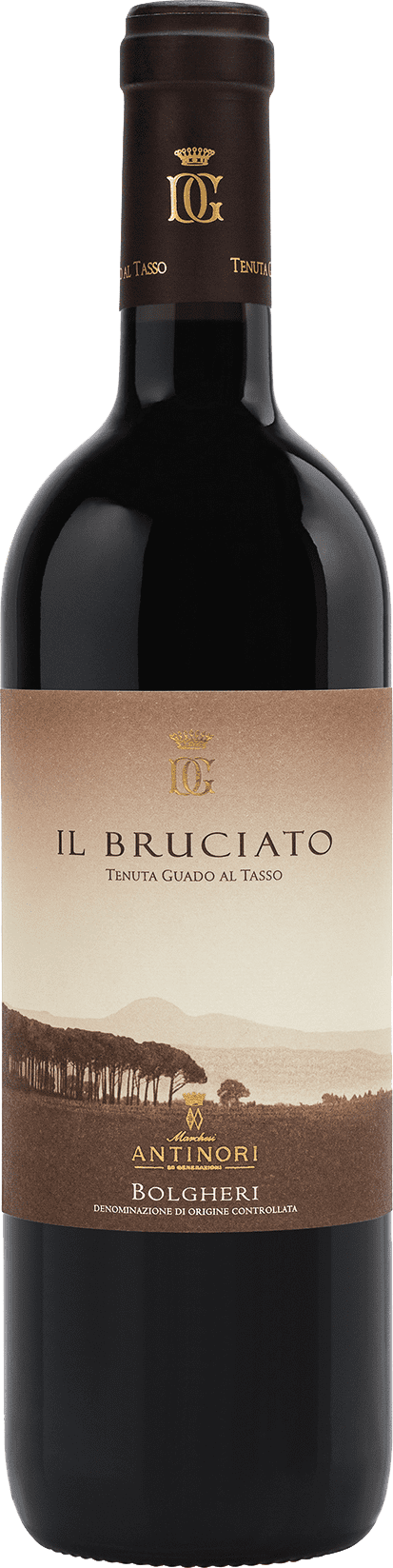 Antinori: Tenuta Guado al Tasso - Il Bruciato 2021