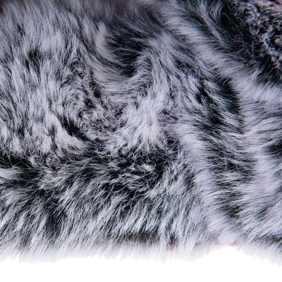 TIAKI Hundemantel mit Geschirr Arkon, orange