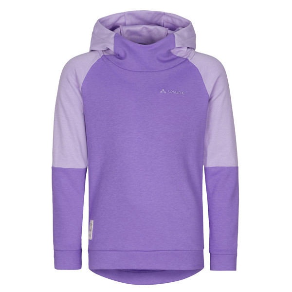 HYLAX HOODED PULLOVER Kinder - Kapuzenpullover