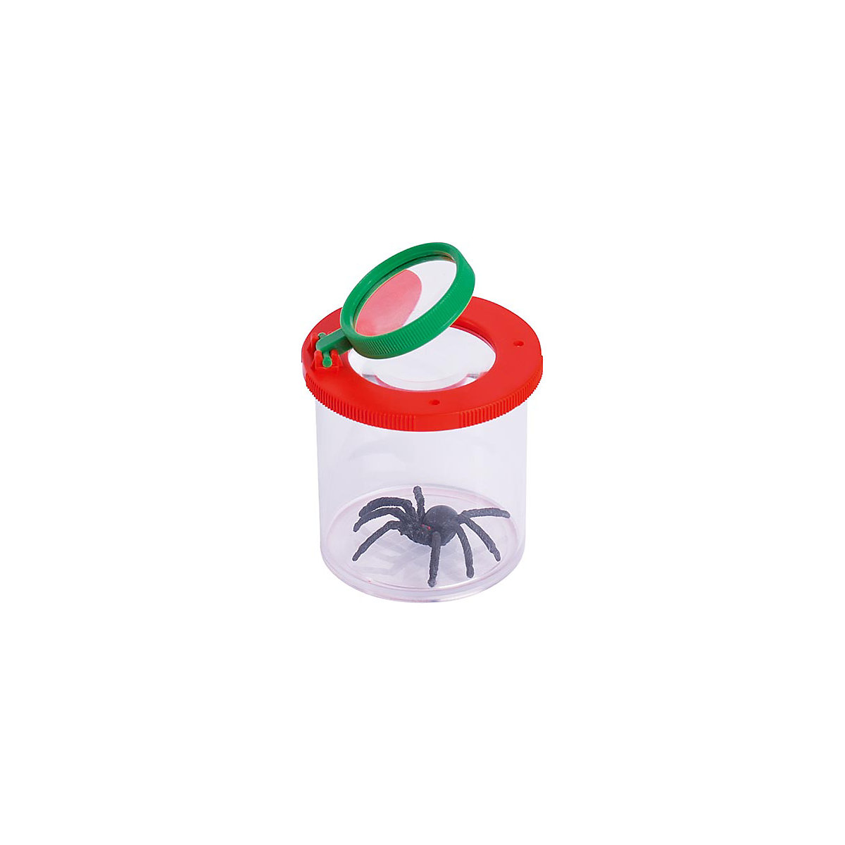 Lupendose 6er-Set, Ø 6 cm