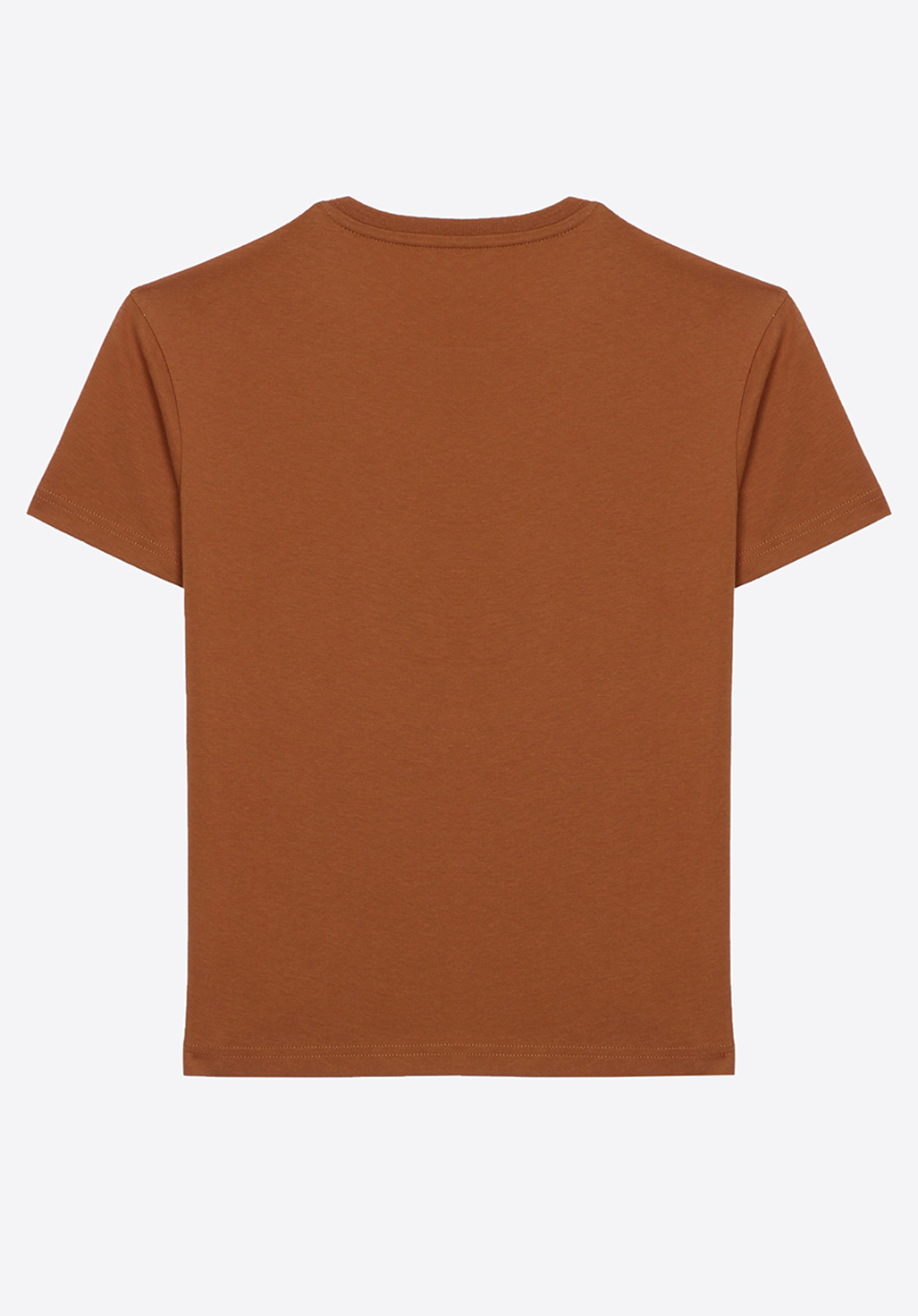 ERWAN  T-shirt marron Garçon 100% coton