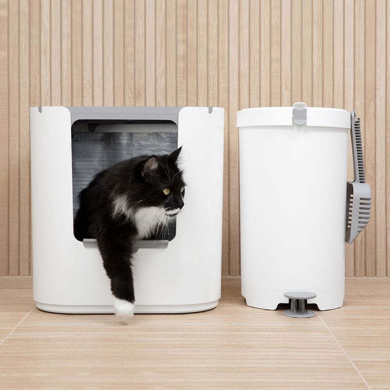 Modkat XL Katzentoilette zu TOP-Preisen