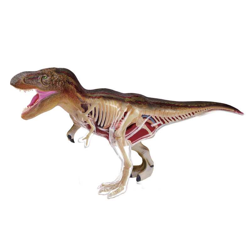 Coffret paléontologue Dinosaure T-Rex à reconstituer