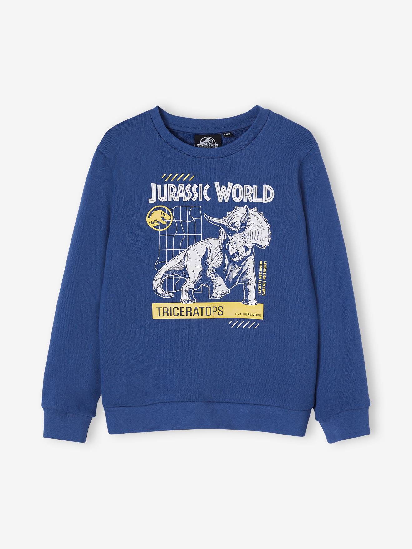 Sweat garçon Jurassic World® bleu ardoise
