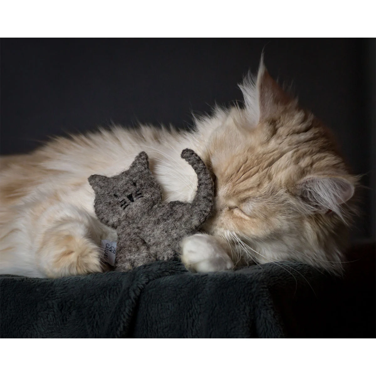 CATLABS Katzenspielzeug Kuschelige Katze kaufen
