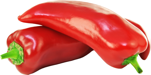 Bio Spitzpaprika rot