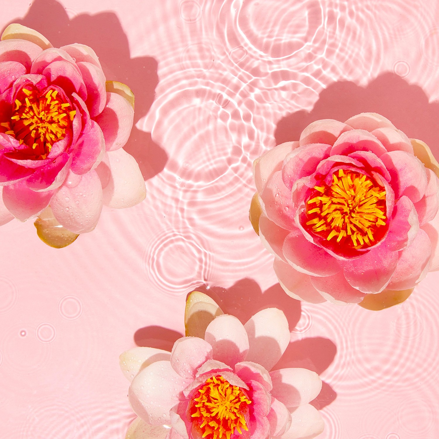 Jowaè attīroša māla maska ar svēto lotosu