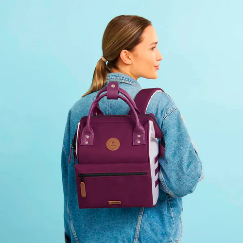 Kingston Adventurer Small Backpack, Purple