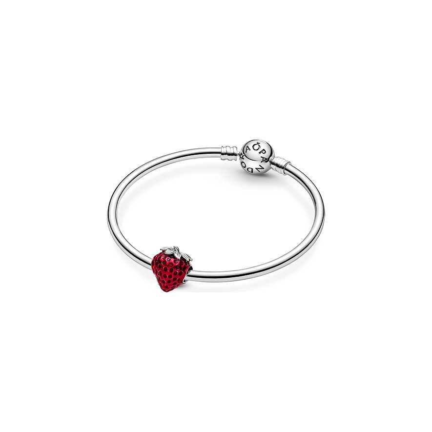 Pandora Charm Moments