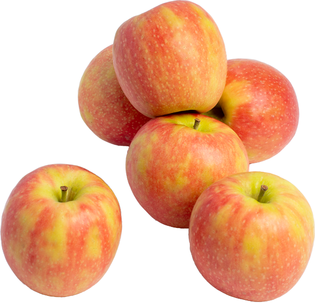 Äpfel rot Pink Lady