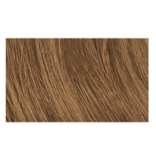 Redken Chromatics Ultra Rich 6.3G Dunkelblond Gold 63 ml