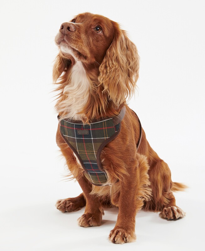Barbour Hundegeschirr Travel and Exercise