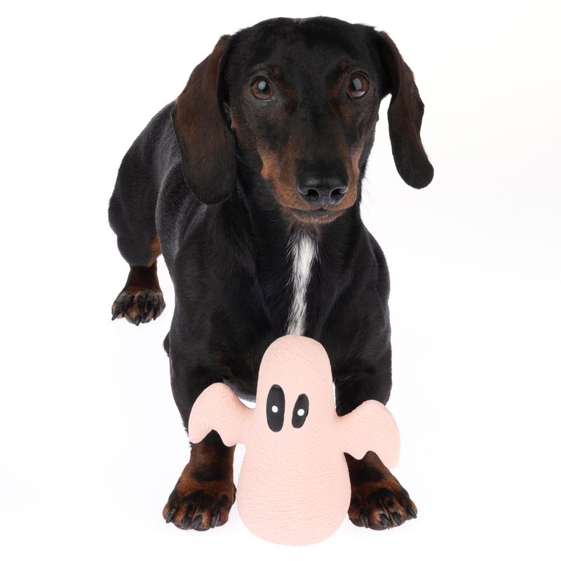 TIAKI Hundespielzeug Latex Geist zu TOP-Preisen