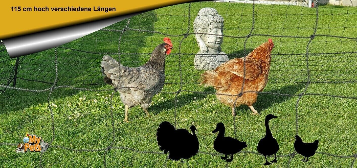 MYPETS Weidenzaun 115cm Geflügelnetz mit Tür Hühnernetz Hühnerzaun Geflügelzaun Zaun Hühner Netz