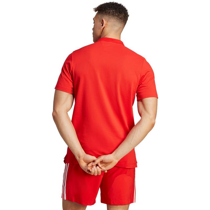 adidas FC Bayern München Poloshirt Herren