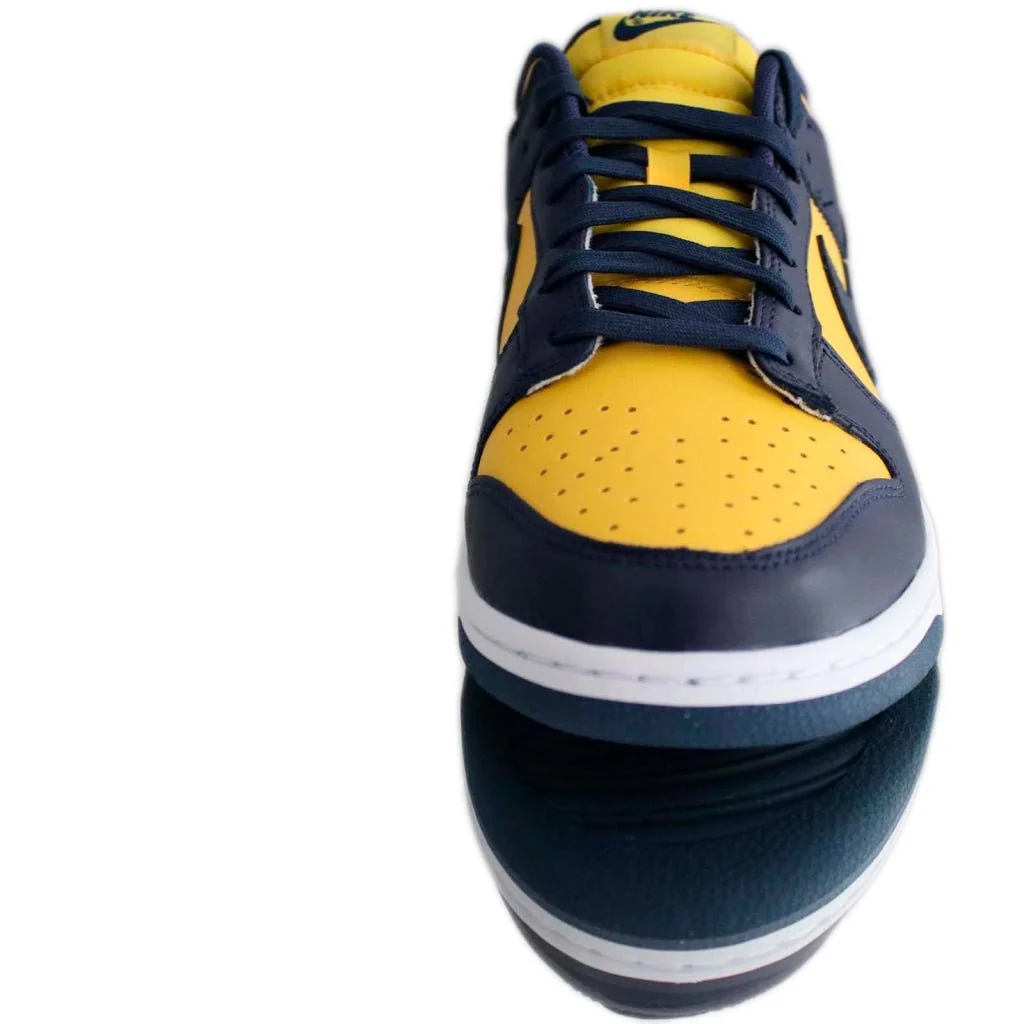 Nike Dunk Low Michigan (2021)