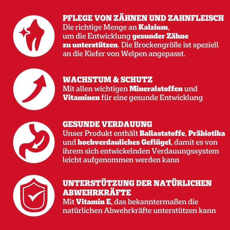 Pedigree Junior Geflügel & Gemüse zu TOP-Preisen