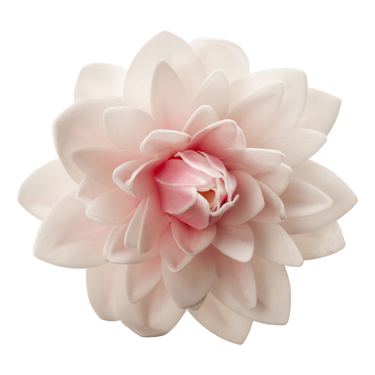 Dahlie Tortendeko Essbare Blumen für Torte aus Oblate-12,5 cm, Esspapier, 12,5 cm