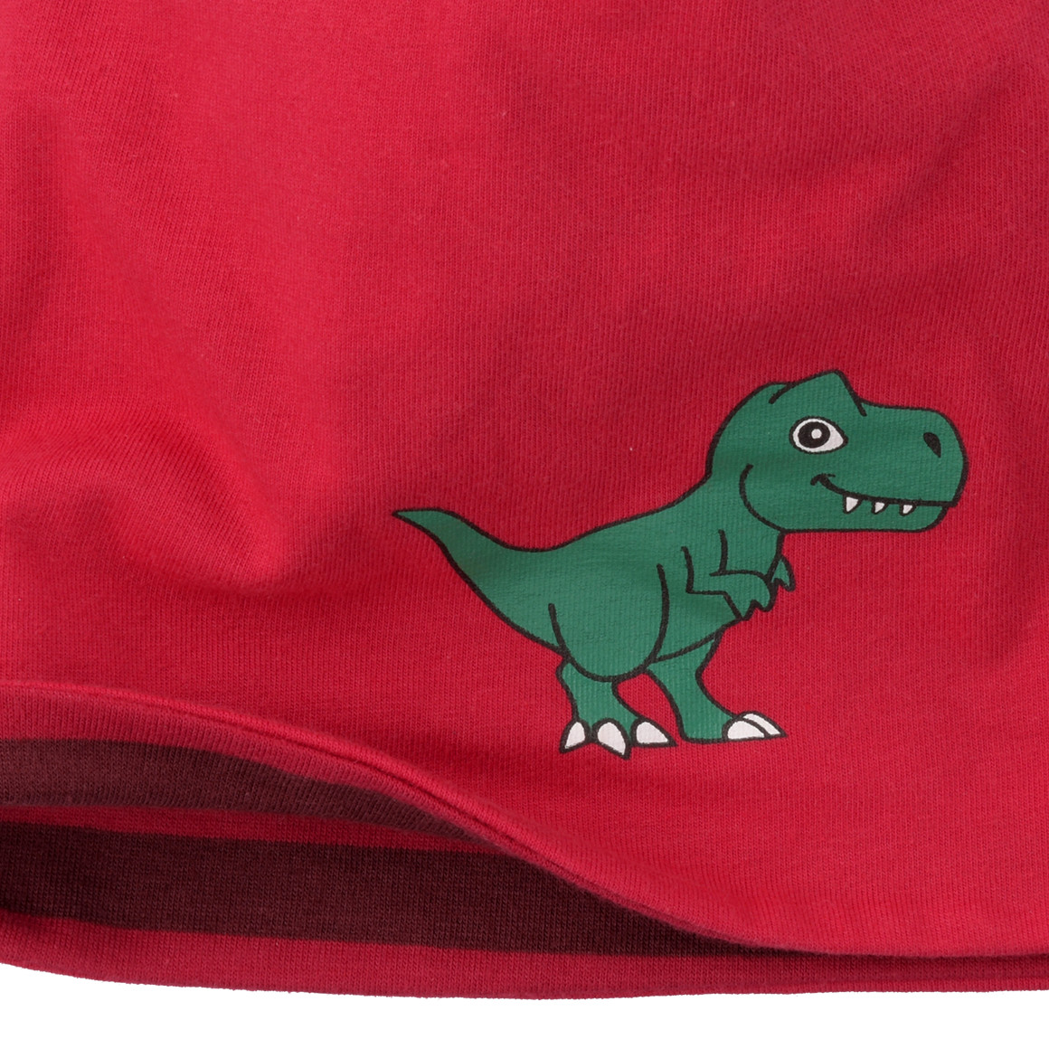 Jungen Beanie mit Dino-Print