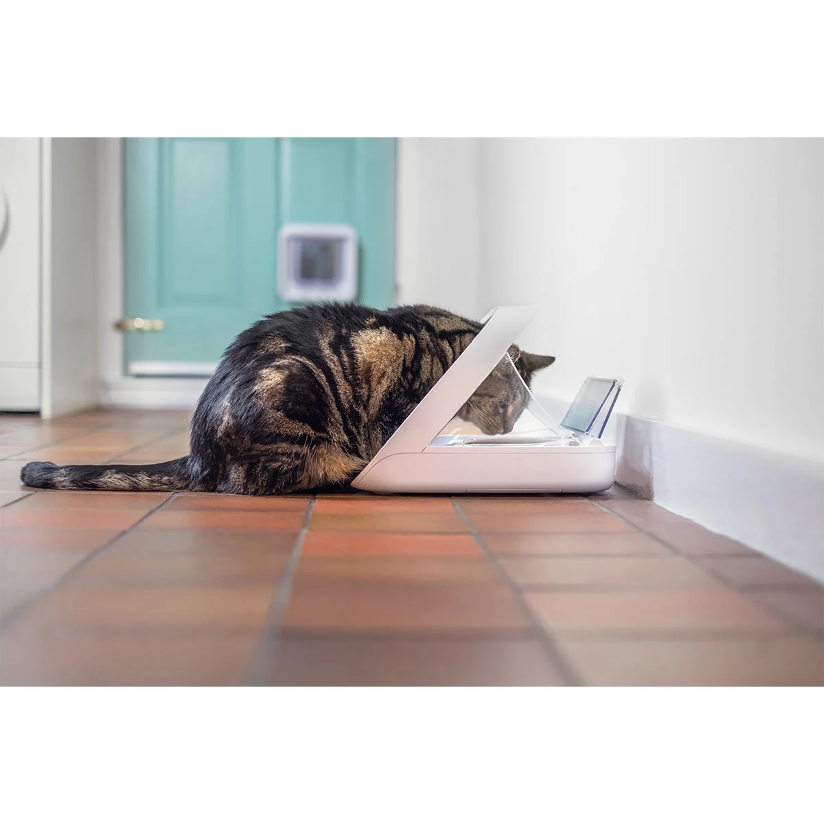 Sure Petcare SureFeed Mikrochip Futterautomat Connect