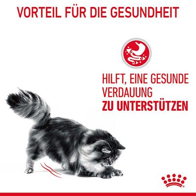 Royal Canin Digestive Care in Soße