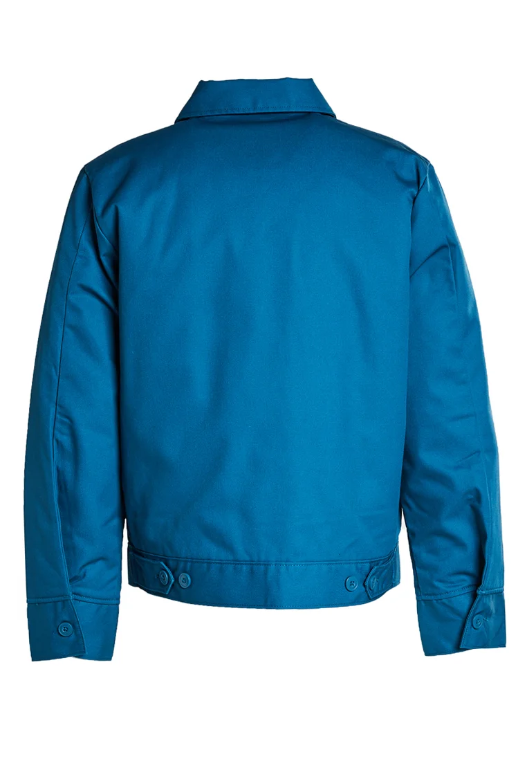 Dickies EISENHOWER - Chaqueta de entretiempo