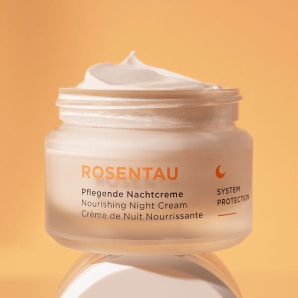 ANNEMARIE BÖRLIND ROSENTAU Nachtcreme Nachtcreme