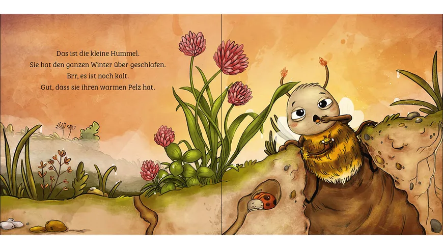 Mein erstes Naturbuch - Die Hummel