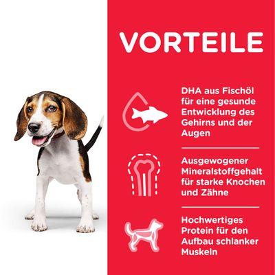 Hill's Science Plan Puppy <1 mit Huhn 6 x 370 g
