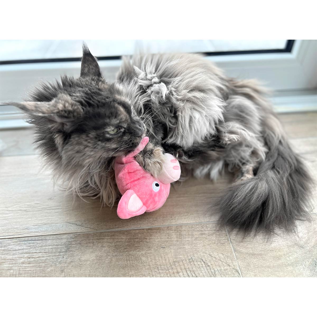 Aumüller Katzenspielkissen Schweinchen Peggy kaufen