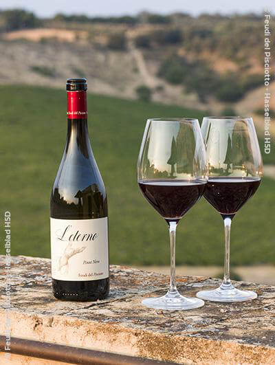 Feudi del Pisciotto : Pinot Noir L'Eterno 2019